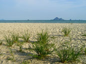 อุทยานแห่งชาติหาดนพรัตน์ธารา อ.เมือง จ.กระบี่ 